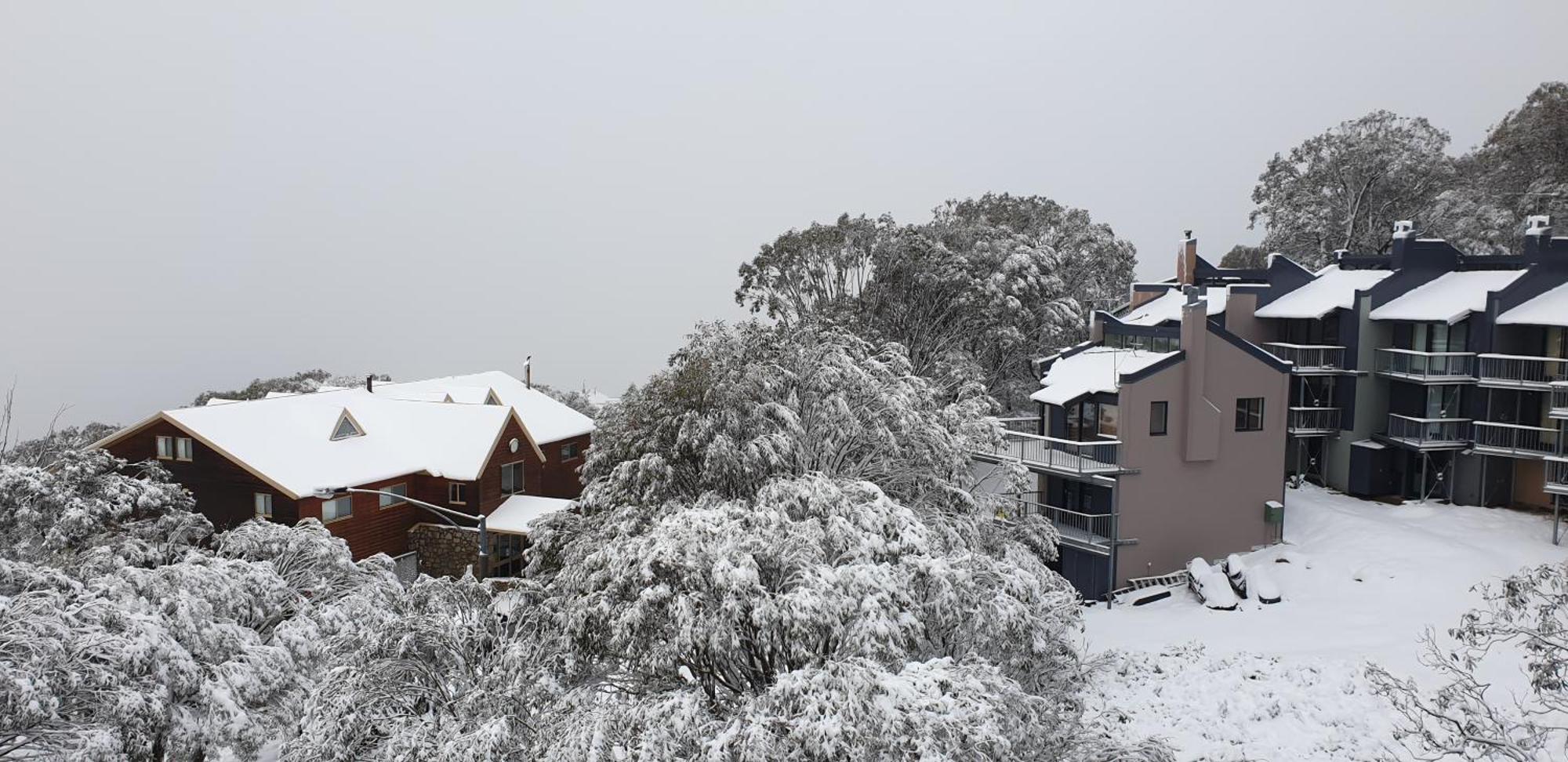 Cedarwood Apartments Falls Creek Buitenkant foto